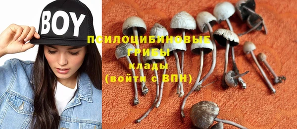 метадон Карталы