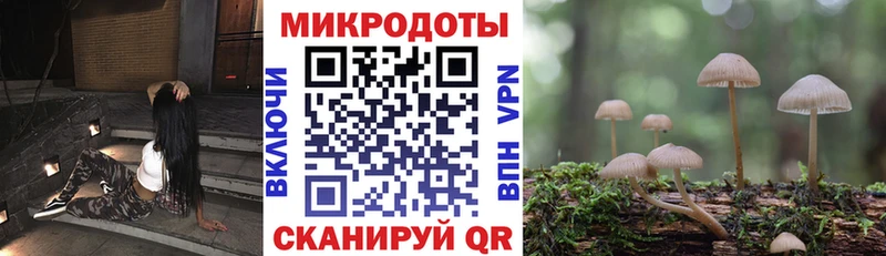Галлюциногенные грибы ЛСД Шагонар